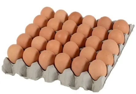 EGGS 600GR (15 DOZEN/BOX)